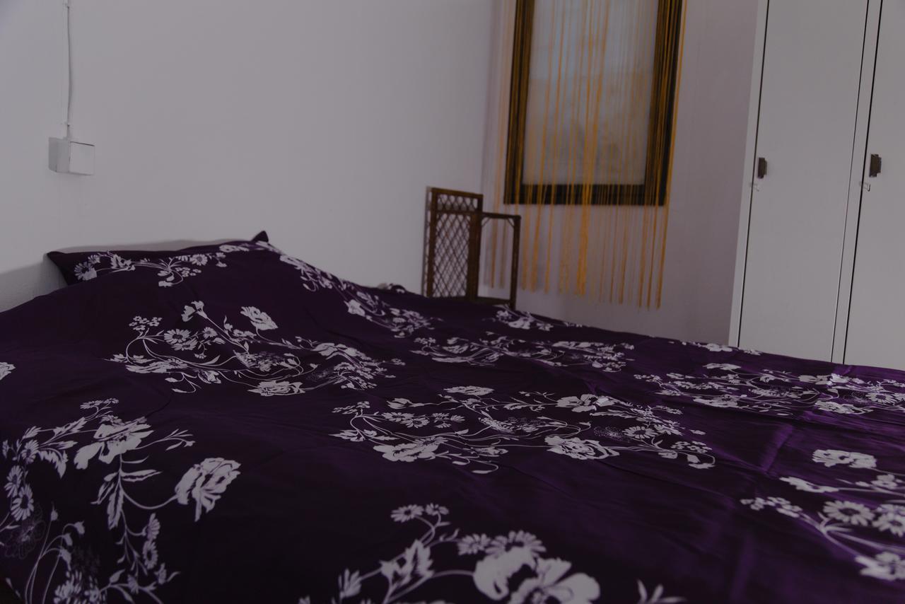 Hostel Belgrade Shungit Dragana Jeftica Br 10 Extérieur photo